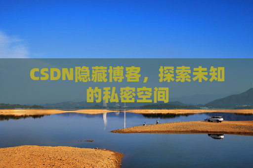 CSDN隐藏博客，探索未知的私密空间